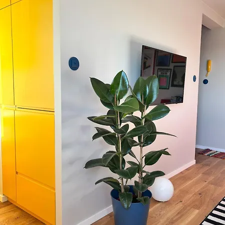 Yellow Lotus Apartment