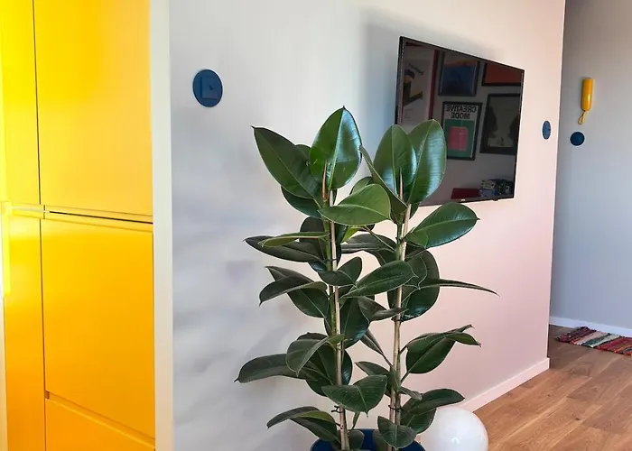 Yellow Lotus Apartamento